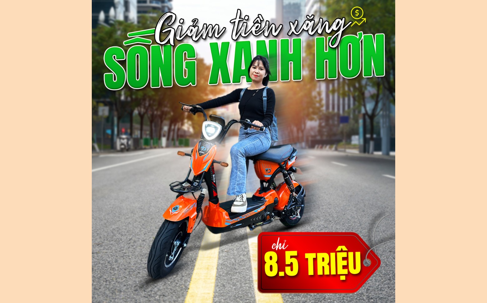 XE ĐIỆN MIỀN NAM